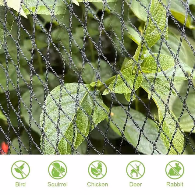 KORVIXA Black Anti Bird Netting for Vegetable and Ornamental Gardens, 20m