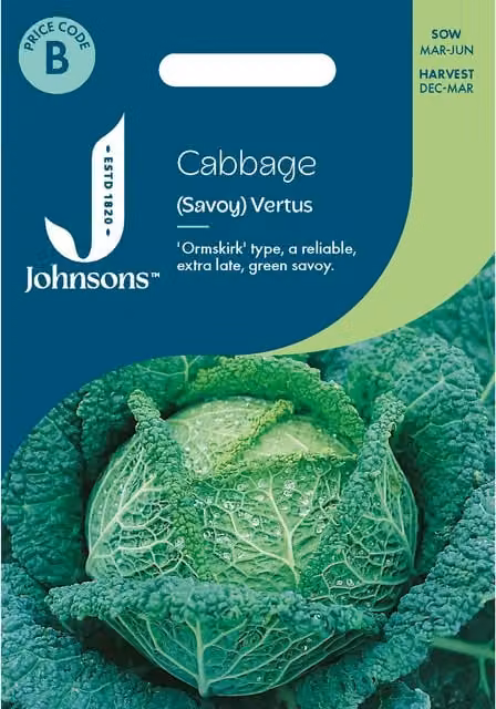 Johnsons Seeds Savoy Vertus Green Cabbage Vegetable Seeds