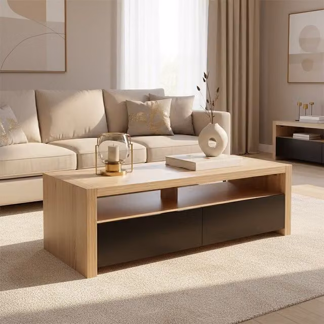 Orsina Modern Wooden Coffee Table with 2 Drawers and 1 Shelf in Black