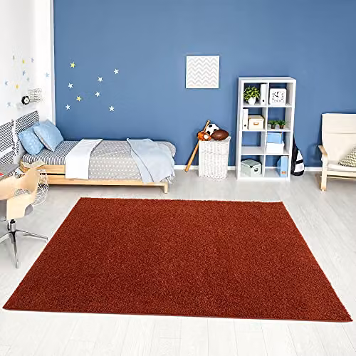 THE RUGS Terra Plain Soft High Pile Shaggy Rug, Orange, W: 200 cm, D: 290 cm – 2