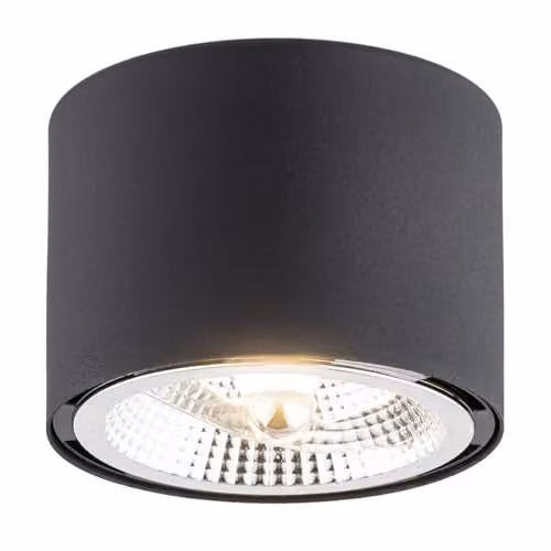 Argon Lighting Clevland Surface Mounted Downlight Black Aluminium Structure – 1