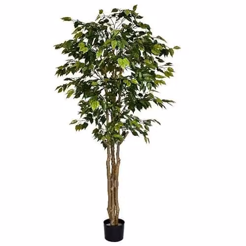 Deluxe Retusa Ficus Artificial Tree, Green, Height: 180 cm