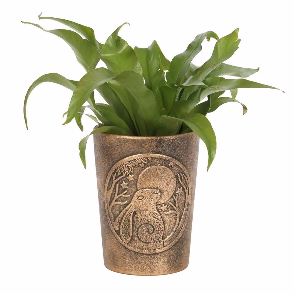 Uniqueful Moon Gazing Hare Bronze Terracotta Plant Pot by Lisa Parker – 2