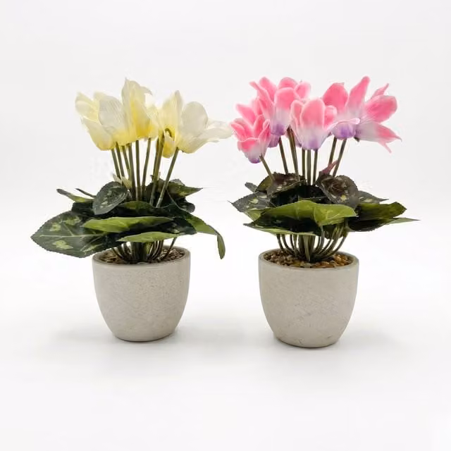 Homescapes Set of 2 Pink and White Artificial Cyclamen Plants in White Pots, Height: 24 cm