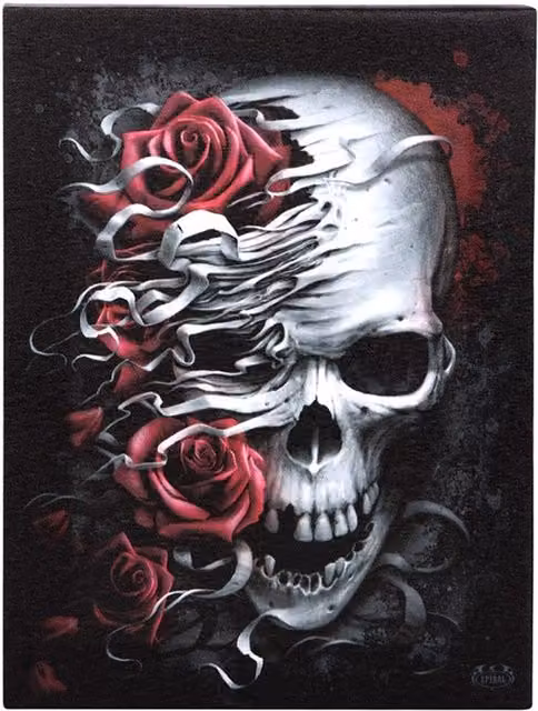 Spiral Direct Skulls N Roses Floral Canvas Plaque, Multicolour, W: 19 cm, H: 25 cm