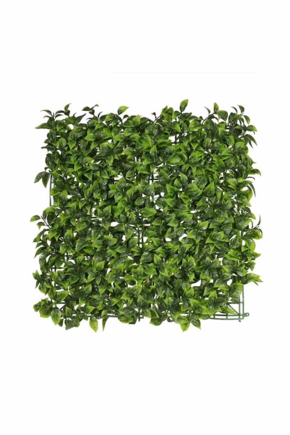 KDMD Exterior UV Resistant Wall Panel in Bay Leaf Green – 2