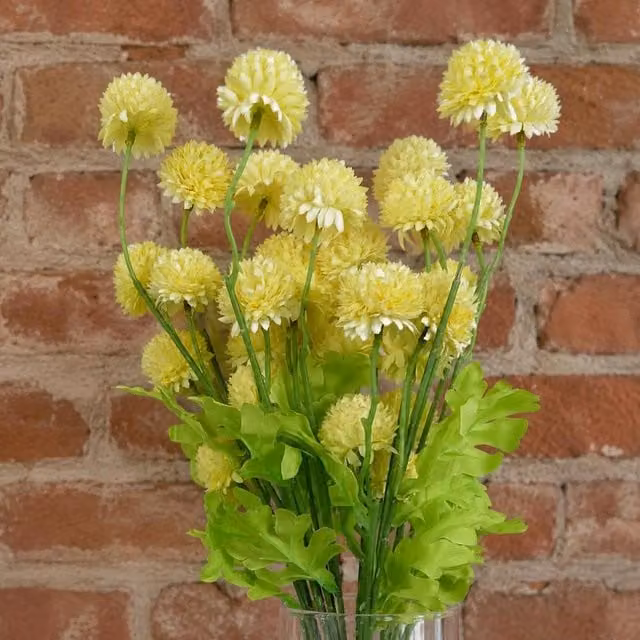 Leaf Pack of 6 Yellow Artificial Dahlia Pompom Stems, Height: 50 cm