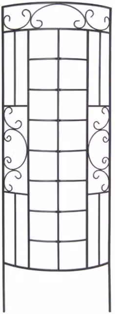 Primrose Romantic Curved Trellis and Plant Support Ladder in Black, Height: 182 cm