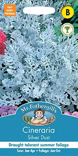 Mr Fothergill's Cineraria Silver Dust Ornamental Flower Seeds