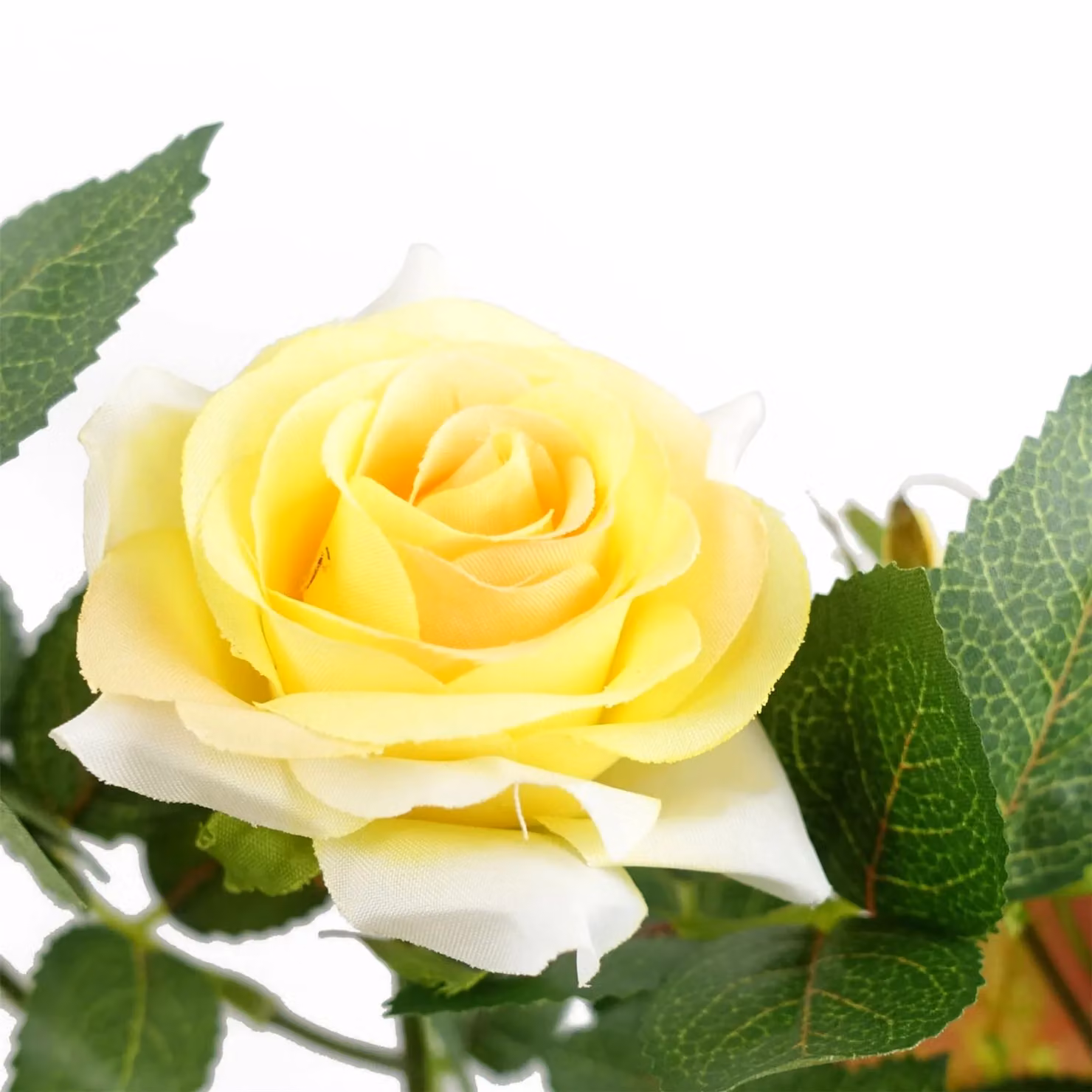 Leaf Design UK Potted Artificial Yellow Rose Plant, 50 cm – 4