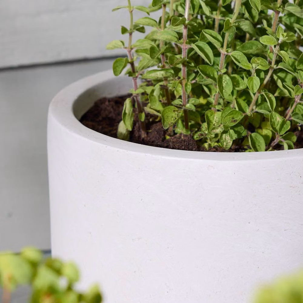 Dibor Small Beige Fibre Clay Indoor Outdoor Garden Planter Pot, H: 24 cm, Dia: 24 cm – 4