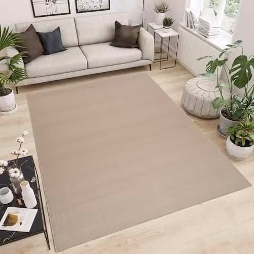 Desire Rugs Plain Modern Rectangular Living Room Area Rug, Beige, W: 160 cm, L: 230 cm