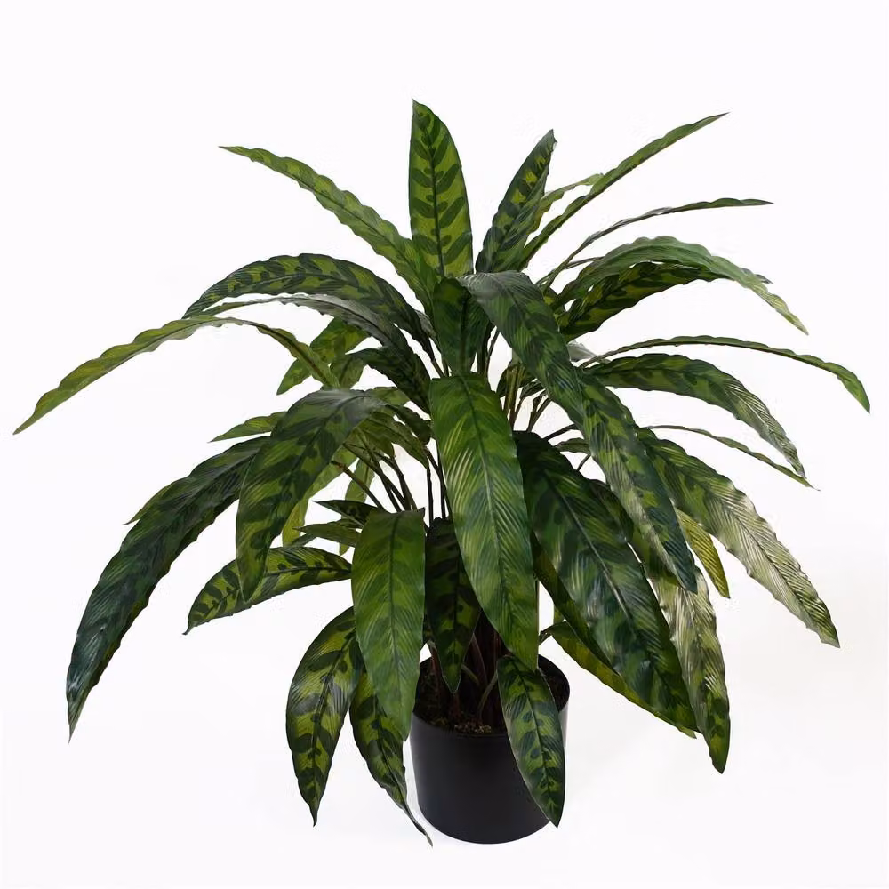 Leaf Design UK Realistic Large Variegated Artificial Calathea Plant in Green, Height: 60 cm – 4