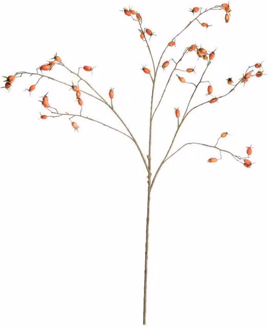 KDMD Botanica Rose Hip Branch in Orange, Height: 106 cm