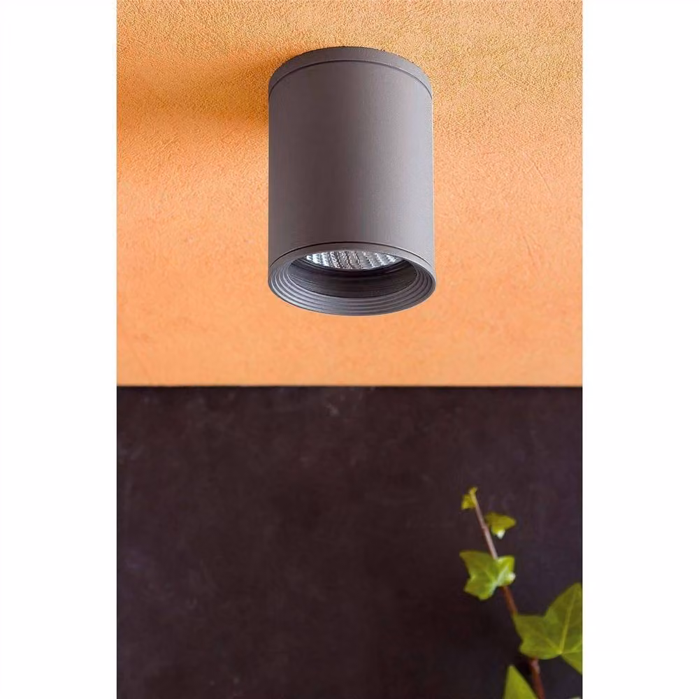 Netlighting Tasa 1 Modern Surface Mounted Outdoor Ceiling Light in Dark Grey, IP44 Rated – 2