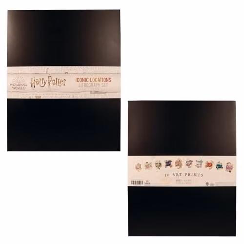 FaNaTtik Harry Potter Limited Edition Lithograph Set of 10 Multicolour Art Prints on 350gsm Linen Paper – 3