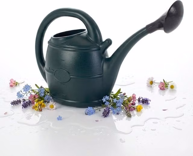 Storm Trading Group 2 x 10L Green Watering Cans with Sprinkler Rose Heads and Handles