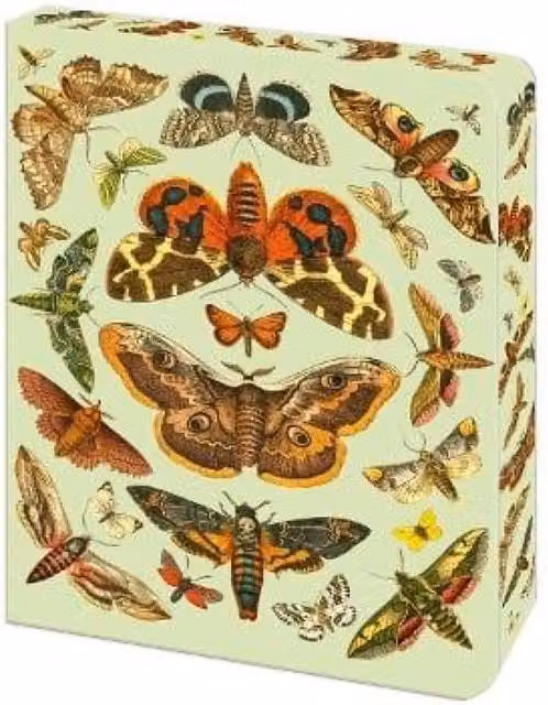 Arcturus Publishing Limited The Moth Journal Multicolour Lined Notebook – 2
