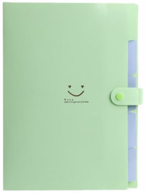 Jaoyeh Trading Ltd 2-Piece A4 Smiley Face Multi-Layer Organiser Paper Bag Folders in Green