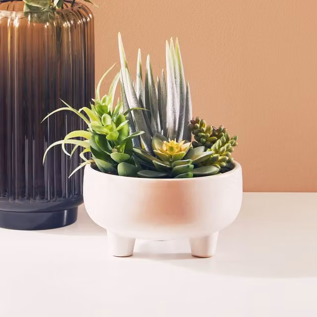 Fiori Mixed Succulents in a Large White Ceramic Pot – 2