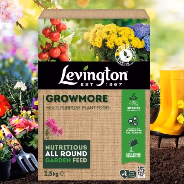 Levington Growmore All Purpose Plant Food for Fruit, Vegetables and Flowers, 1.5kg