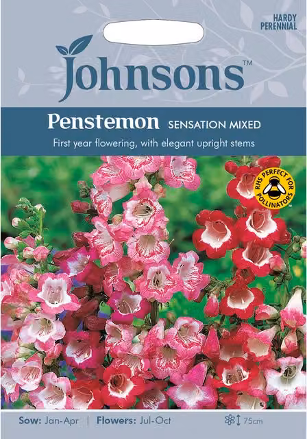 Johnsons Penstemon Sensation Pink Ornamental Flower Seeds