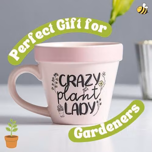 Boxer Gifts Crazy Plant Lady Floral Ceramic Mug, Pink and Multicolour – 2