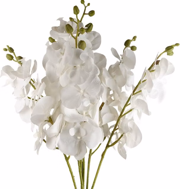 White Artificial Phalaenopsis Orchid Stems with Leaves