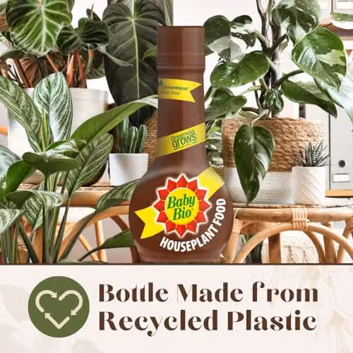 Baby Bio Houseplant Food Liquid Plant Tonic, 175 ml, Black – 5