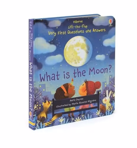 Usborne What is the Moon? Very First Lift-the-Flap Questions and Answers Multicolour Childrens Book – 2