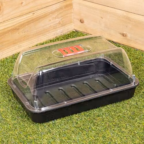 Sankey Grostart Midi Unheated Seed Starter Tray Indoor Seedling Planter W: 38 cm, H: 6 cm, D: 14 cm – 2