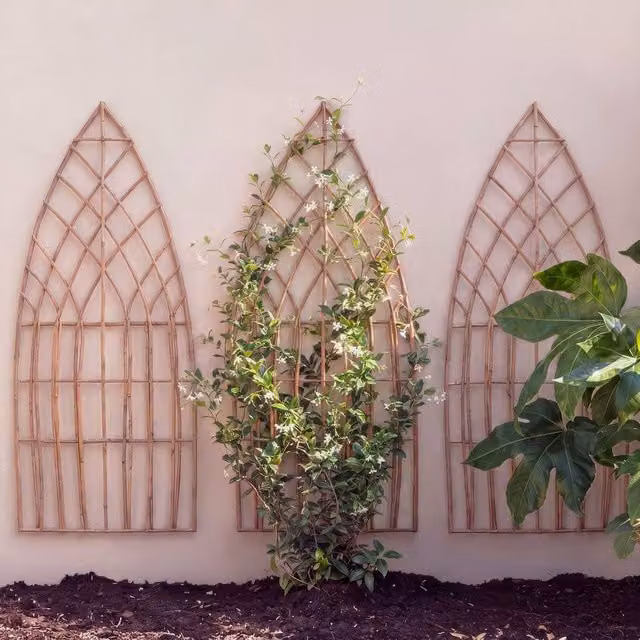 Primrose Pack of 3 Arched Natural Willow Garden Trellis Panels, Brown, H 180 cm x W 60 cm