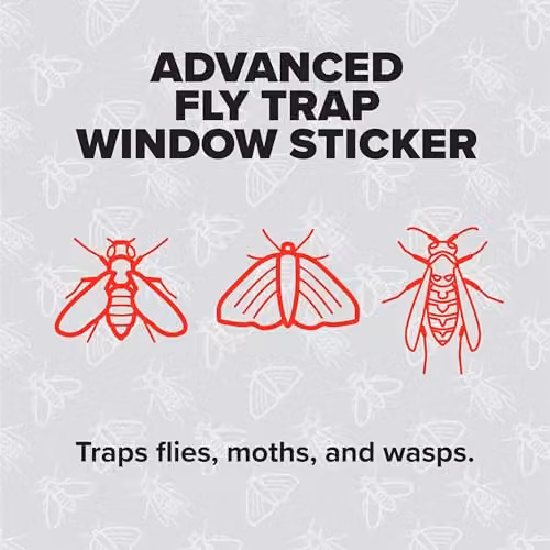 Rentokil FW35 Window Fly Traps, 4 Pack, Multicolour – 3