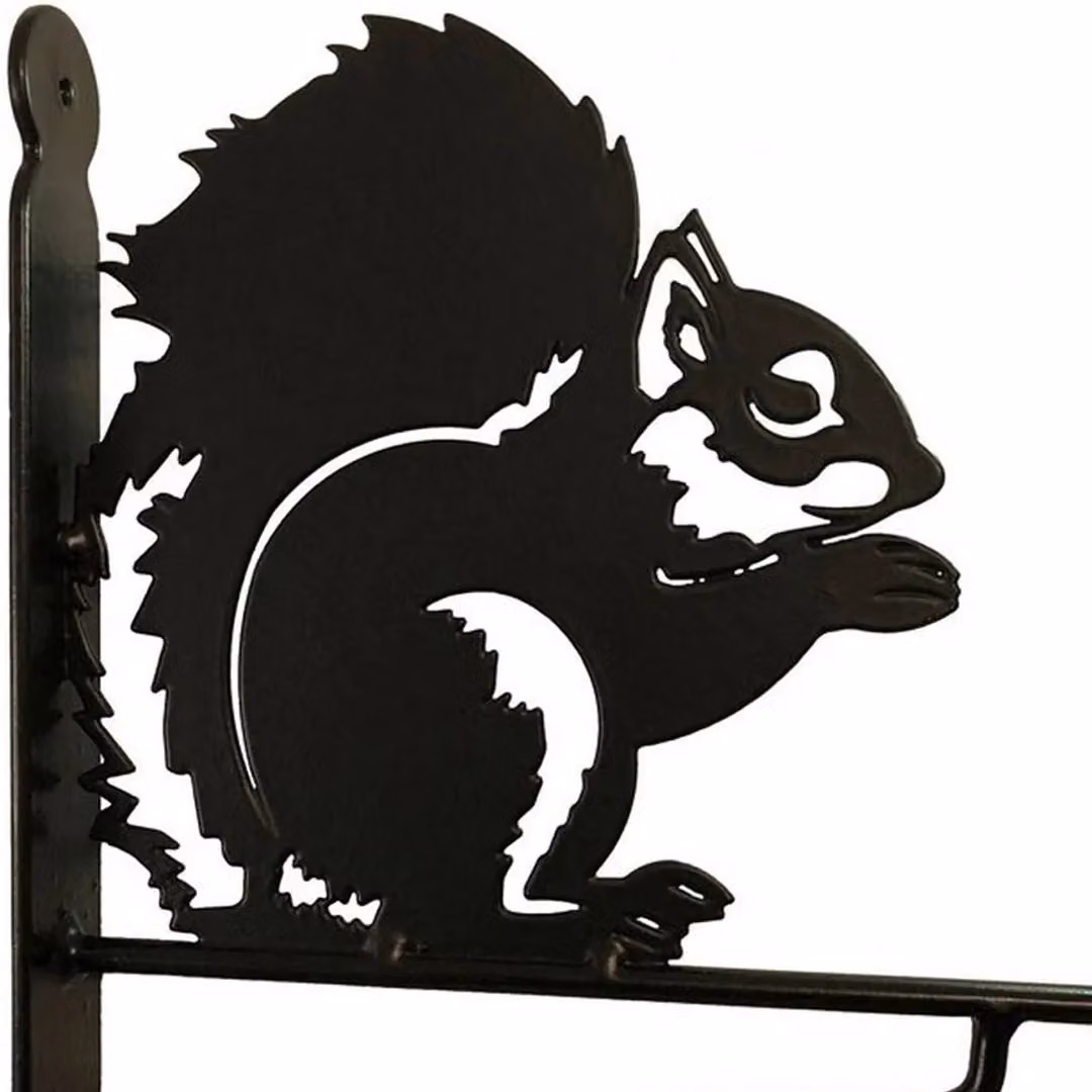 Poppyforge Squirrel Feature Wall Bracket in Black Steel, W: 30.5 cm, H: 33 cm – 2