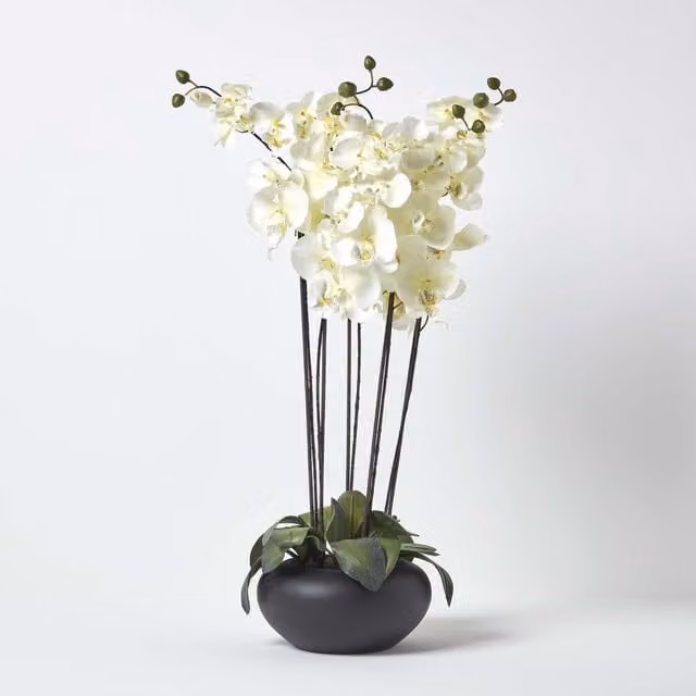 Homescapes Large Oriental Style Cream Orchids in a Black Round Bowl