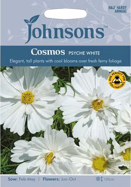 Johnsons Cosmos Psyche White Ornamental Flower Seeds