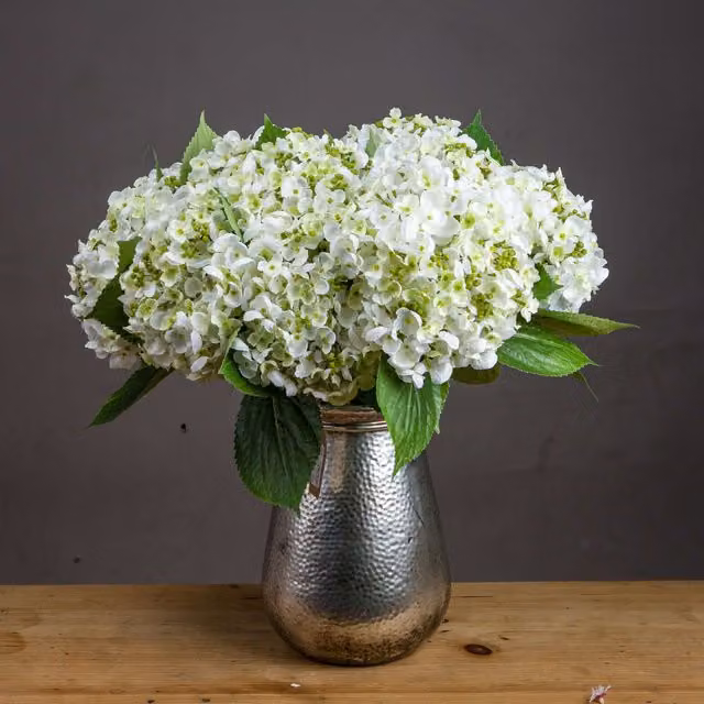 Love Lace White Lace Cap Hydrangea Artificial Flower, 1 Stem – 1