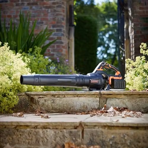LawnMaster MX 24V Cordless Leaf Blower in Orange with Rechargeable Battery – 2