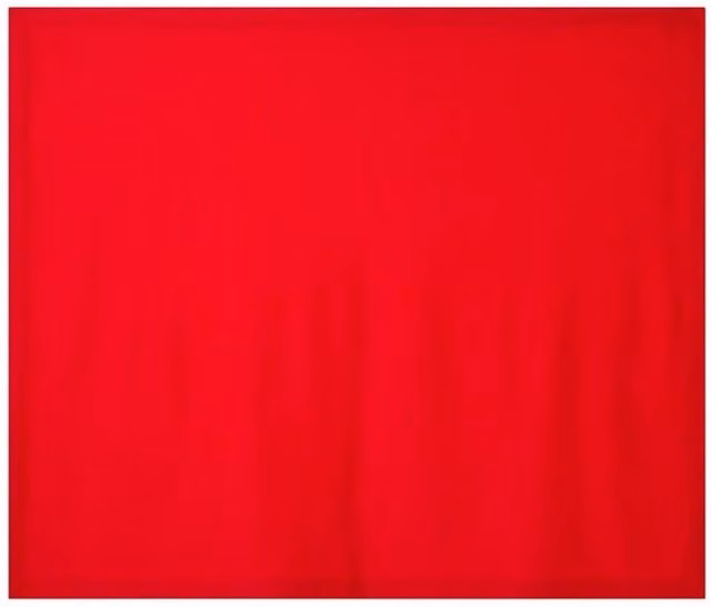 Gildan Heavy Blend Fleece Stadium Blanket in Red, W/D/H: 152.4 x 127.0 x 1.0 cm – 1