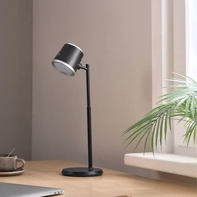 Wyld and Coco 2-in-1 LED Desk and Wall Lamp in Black with Detachable Arm and Stepless Dimmer – 1