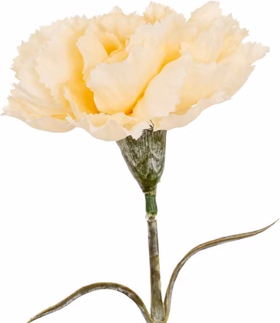 Hill Interiors Beige Carnation Artificial Flower
