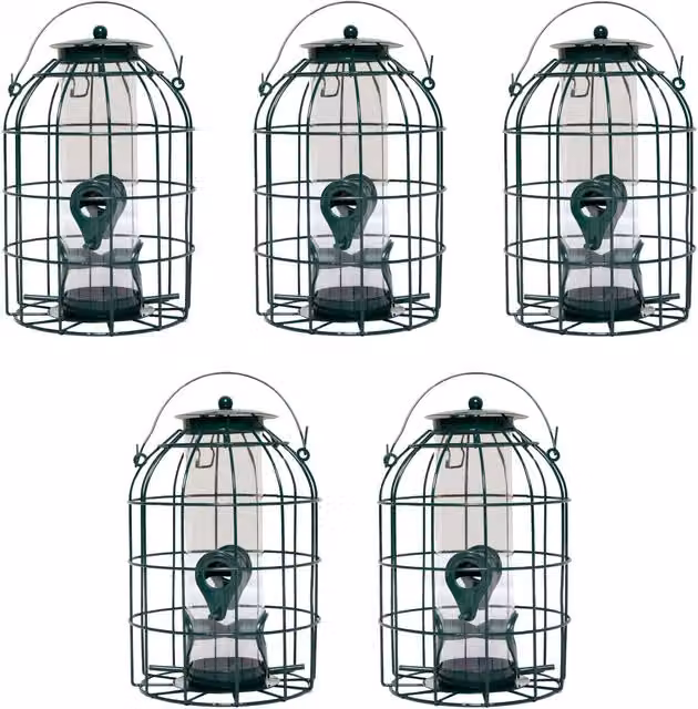 Samuel ALEXANDER Pack of 5 Green Metal Mesh Wild Bird Seed Feeder Cages with Squirrel Guard – 1