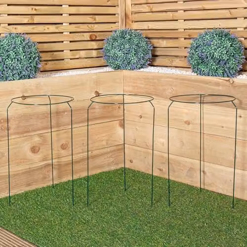 Samuel ALEXANDER Pack of 3 Urban Metal Herbaceous Garden Plant Support Rings in Green, W/D/H: 30 x 30 x 50 cm