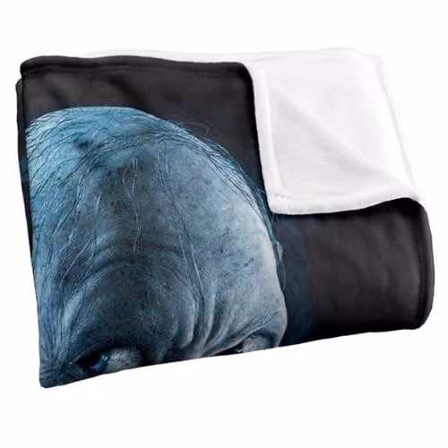 LOGOVISION Lord of the Rings Return of the King Smeagol Silky Touch Super Soft Fleece Throw Blanket, W: 127 cm, L: 152 cm – 2
