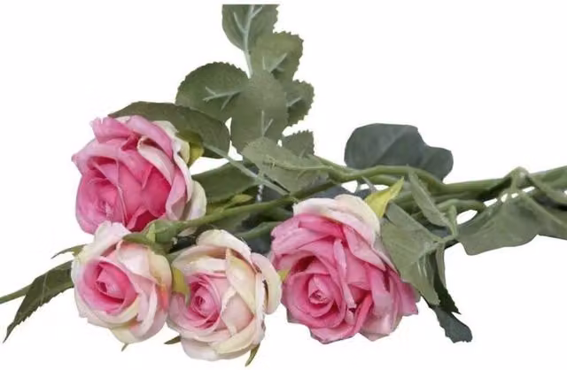 KDMD Camelot Garden Rose Spray in Blush Pink, 2 Pack