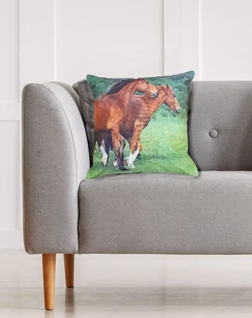 Rapport Home Horse Velvet Cushion Cover, Multicolour, W/D/H: 43 x 43 x 43 cm