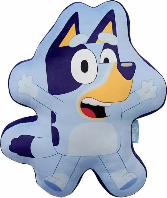 Bluey and Bingo 2 in 1 Reversible Graphic Cushion in Blue