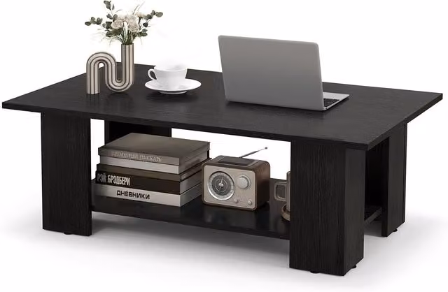 Costway Modern 2-Tier Black Coffee Table