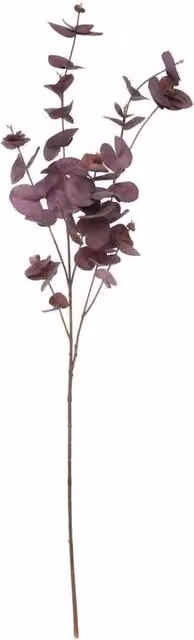 KDMD Balmoral Eucalyptus Floral Decoration in Burgundy, Height: 90 cm