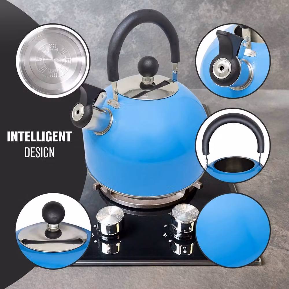 BARGAINS-GALORE 2.5l Stainless Steel Whistling Kettle in Blue and Light Blue – 3